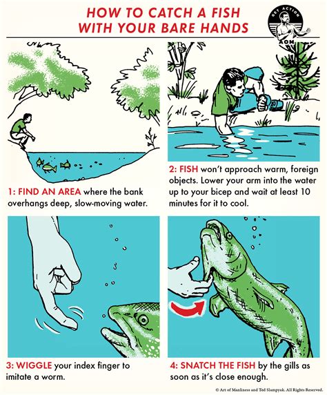 How to Catch  Fish in the Spring .